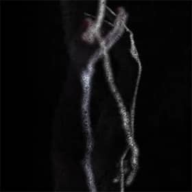 Arms (from Dracula 2019)<span>#Videoclip #Artworks #Videoprojections</span>